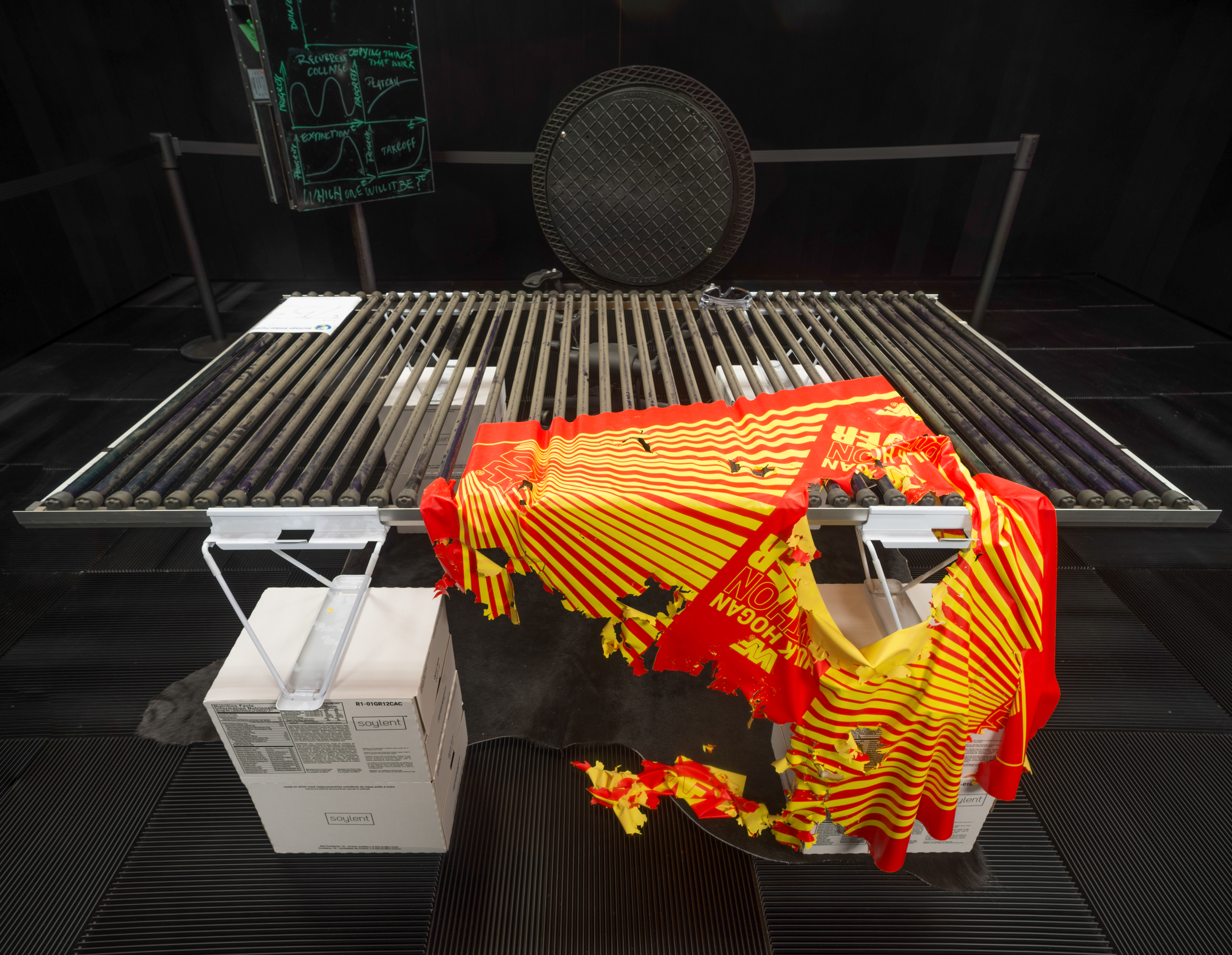 Michael Stevenson | Ocula